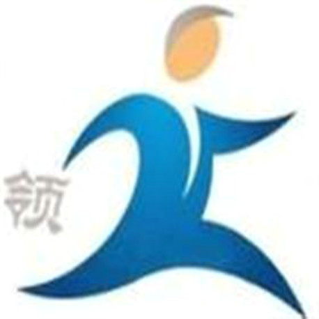 領(lǐng)先外國(guó)語(yǔ)