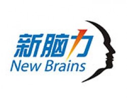 新腦力教育