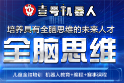 壹號(hào)全腦機(jī)器人