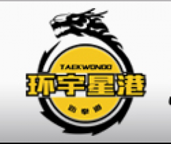 環宇星港國際跆拳道