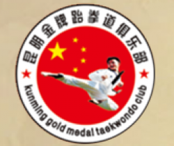 金牌跆拳道