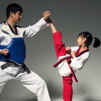 阿迪達(dá)斯跆拳道