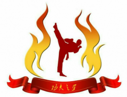 功夫之星跆拳道