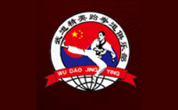 北京武道精英跆拳道