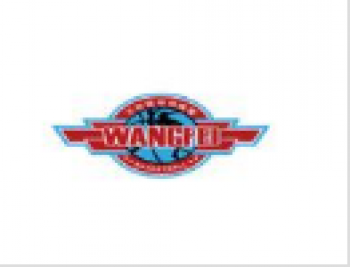 王非籃球訓練營