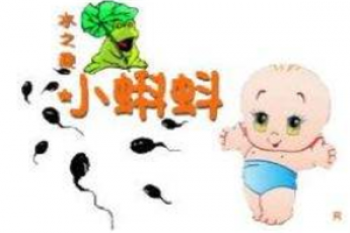 小蝌蚪兒童水上樂園