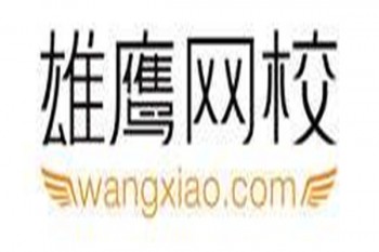 雄鷹網校