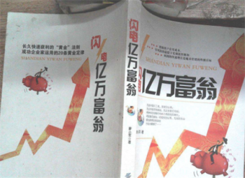 閃電億萬富翁教程