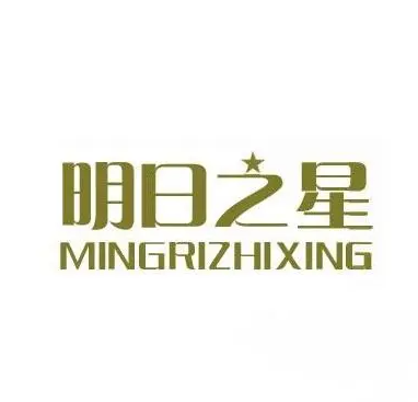  明日之星創新作文