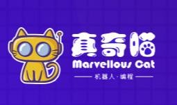 真奇喵機器人編程