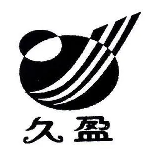 久盈體育青少年籃球培訓