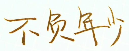 不負(fù)年少青少年籃球發(fā)展聯(lián)盟