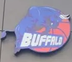 BUFFALO籃球培訓(xùn)