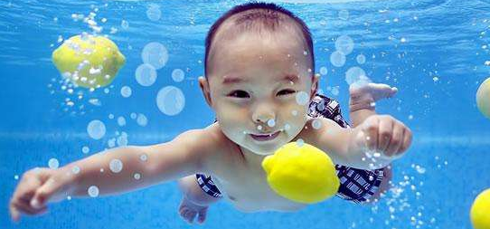 海馬momo水育早教加盟 海馬momo水育早教加盟