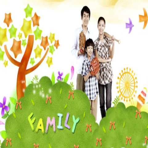 金辰教育 金辰教育