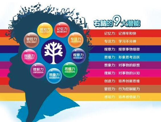 fcf右腦潛能開發 fcf右腦潛能開發