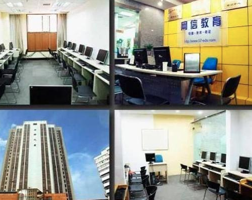 網信教育 網信教育