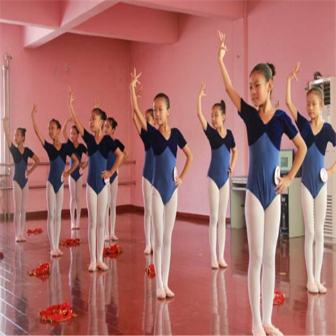 龍騰藝術(shù)培訓(xùn)學(xué)校