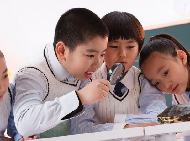 東誠(chéng)慧教育 東誠(chéng)慧教育