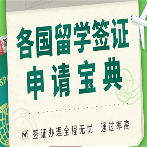 新通國際 新通國際
