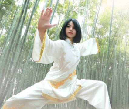 瀚鋒太極太極拳 瀚鋒太極太極拳