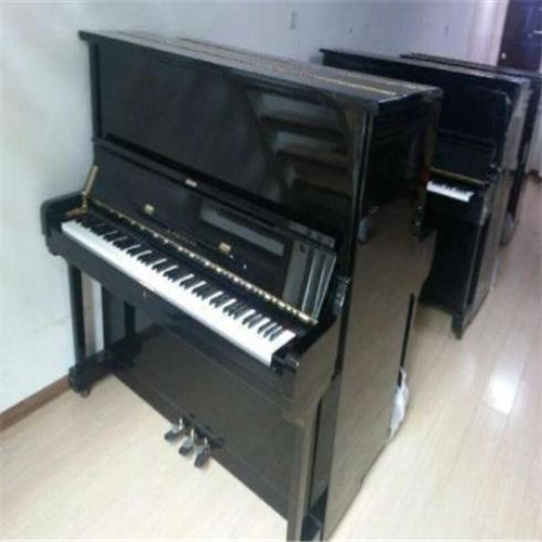 卓樂琴行 卓樂琴行