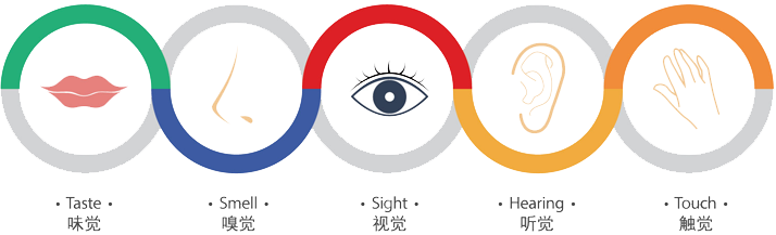 Brain School早教中心加盟 Brain School早教中心加盟