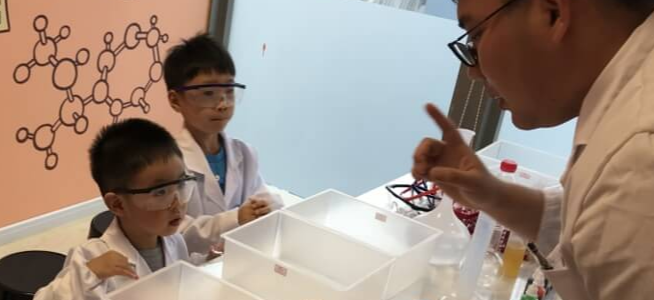 伽牛教育加盟 伽牛教育加盟