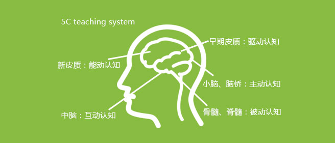 瑞德啟蒙教育加盟 瑞德啟蒙教育加盟
