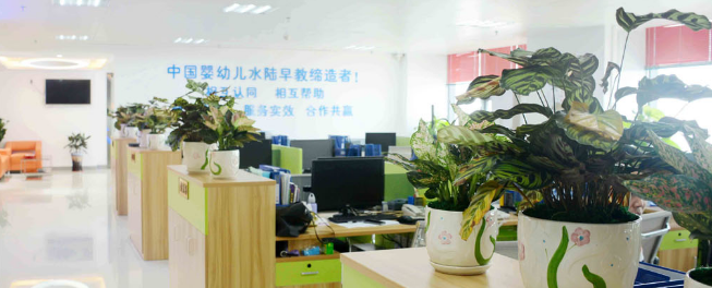 培優(yōu)寶貝加盟 培優(yōu)寶貝加盟