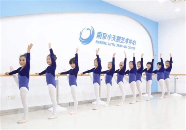 小天鵝藝術(shù)培訓(xùn)中心