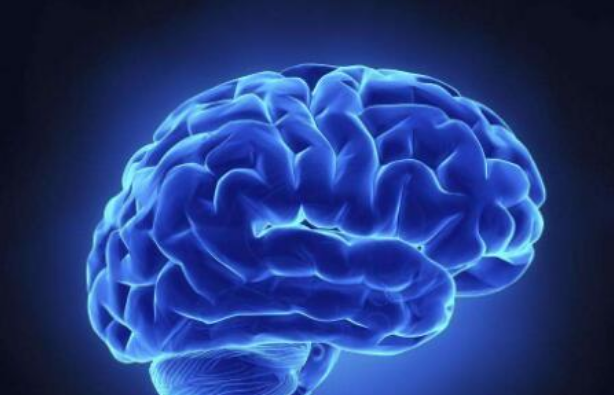 /uploads/image/2019/08/12/48c8d0028ad6796896238b018b095fcd.png image.png