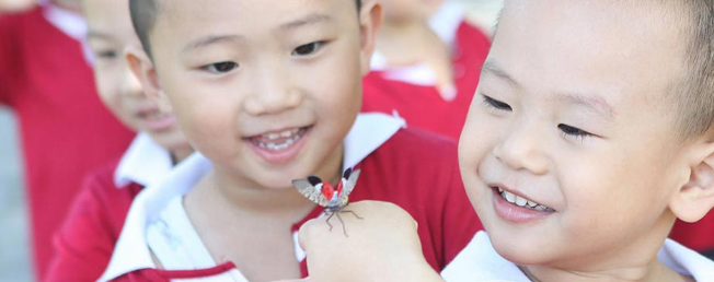 諾貝爾幼兒園加盟