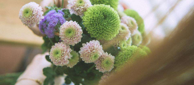 格調(diào)藝社加盟