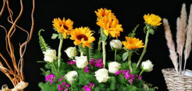 格調(diào)藝社加盟