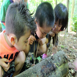 九云行教育加盟 九云行教育加盟