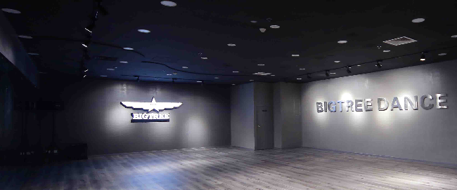 BIGTREE街舞加盟 BIGTREE街舞加盟