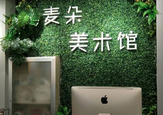 麥朵美術(shù)加盟 麥朵美術(shù)加盟