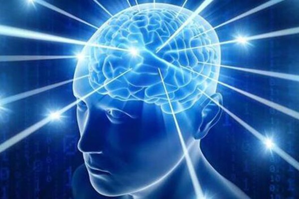 松果潛能智慧機加盟 松果潛能智慧機加盟