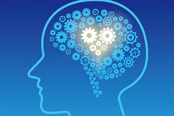 松果潛能智慧機加盟 松果潛能智慧機加盟