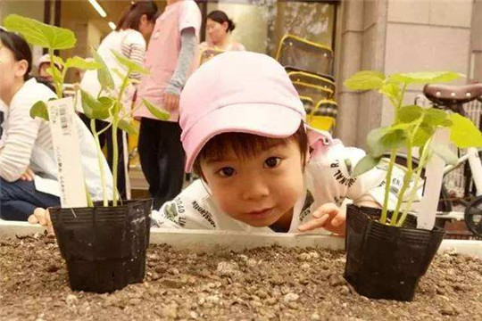 小蘿卜早教中心加盟 小蘿卜早教中心加盟