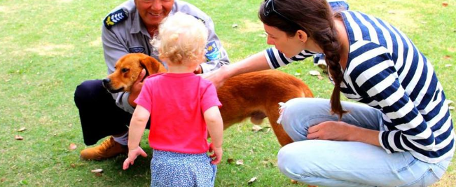 地球村劍橋少兒英語(yǔ)加盟