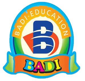 巴迪國際教育