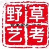 野草藝考培訓(xùn)中心