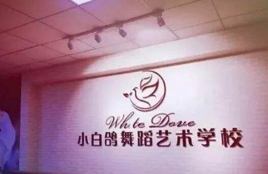 聊城小白鴿舞蹈學(xué)校加盟