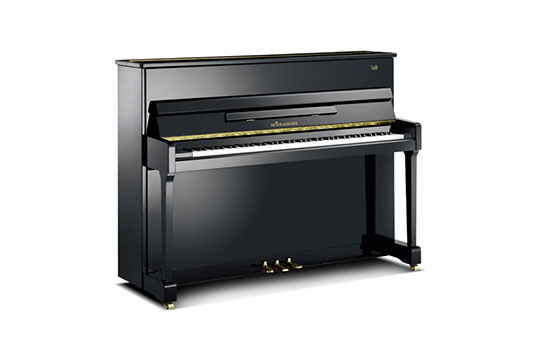 塞德?tīng)栦撉偌用? title=