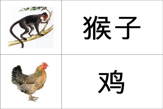 兒童快速識字加盟 兒童快速識字加盟