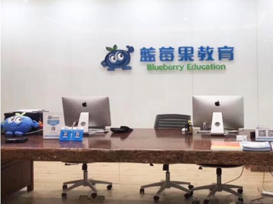 藍莓果幼小銜接加盟