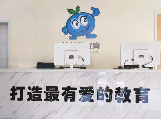 藍莓果幼小銜接加盟 藍莓果幼小銜接加盟