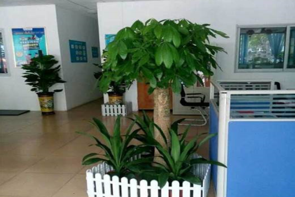 櫻花教育培訓中心加盟